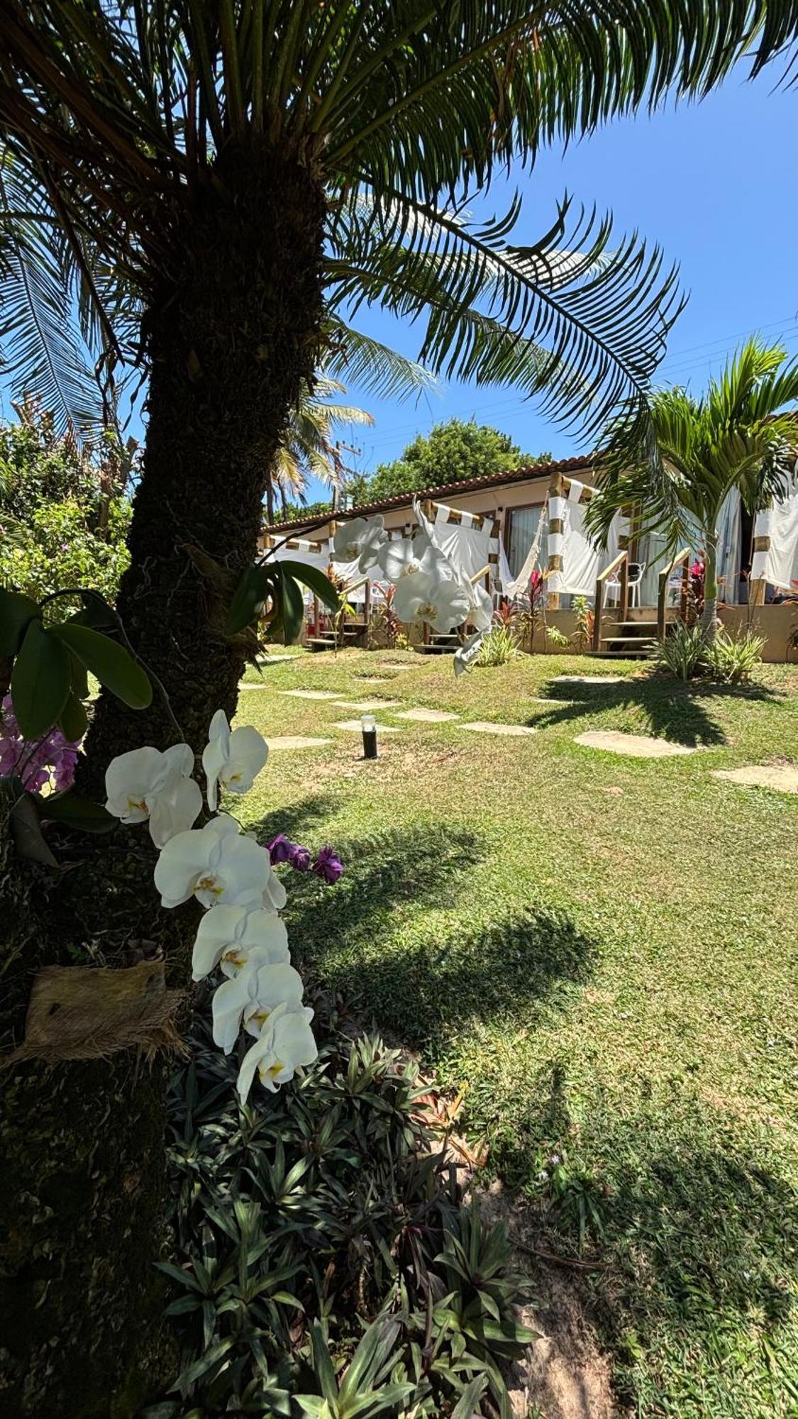 Hotel Da Pipa Praia de Pipa Exterior photo