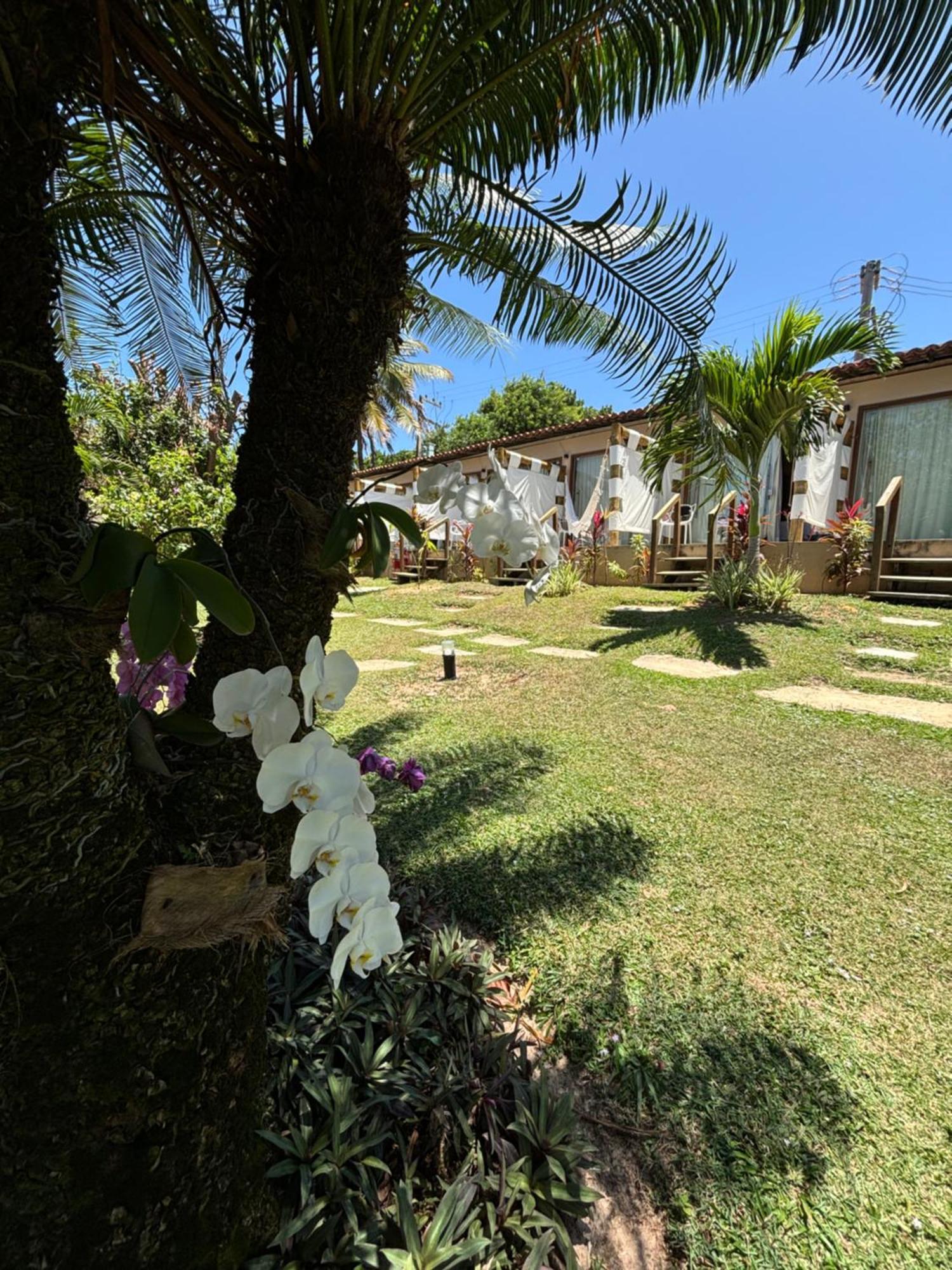 Hotel Da Pipa Praia de Pipa Exterior photo