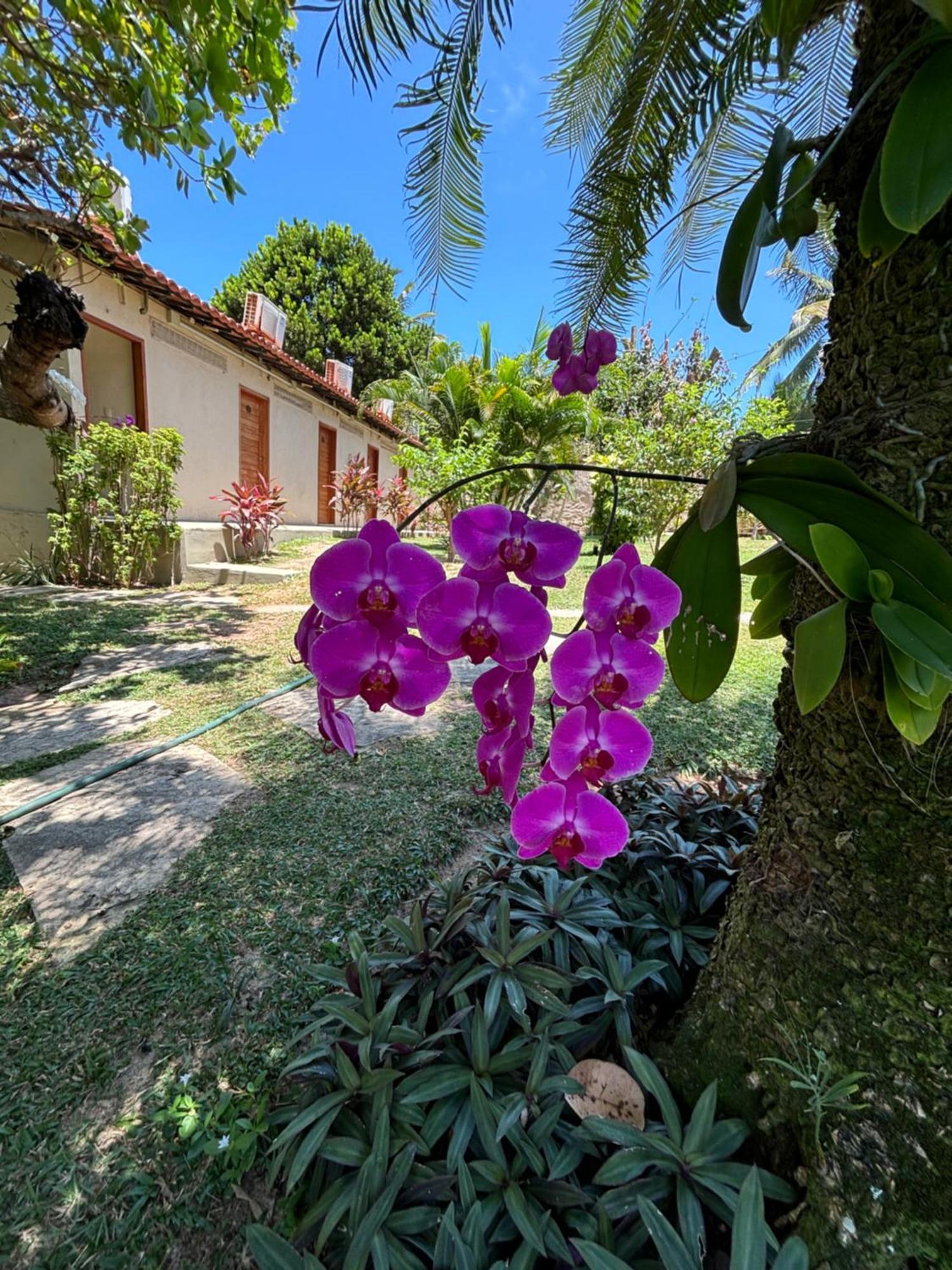 Hotel Da Pipa Praia de Pipa Exterior photo